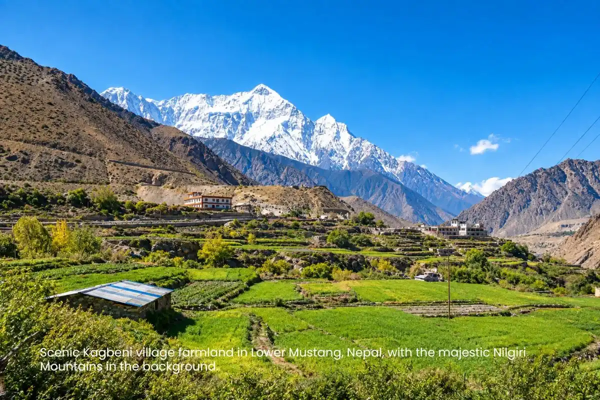 Lower Mustang Tour Guide: Nature, Culture & Muktinath Pilgrimage
