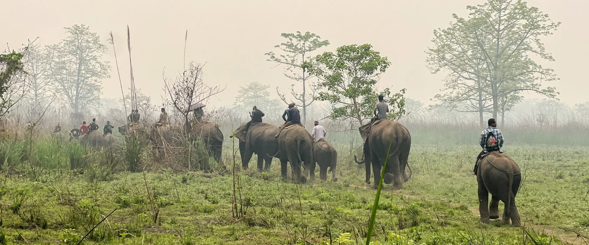 Chitwan