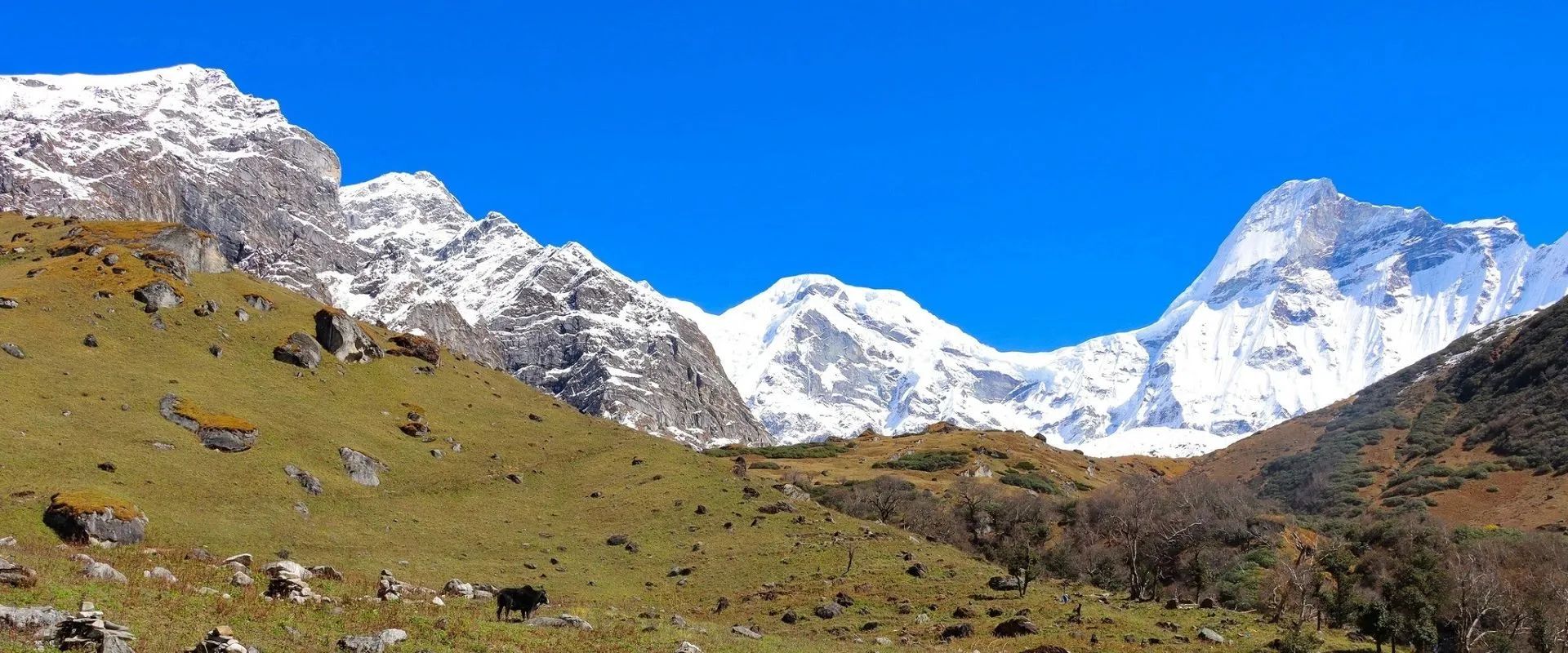 Far West Region