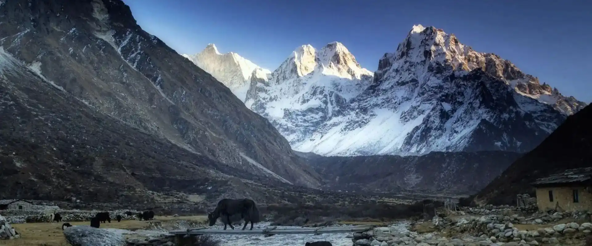 Kanchenjunga Region