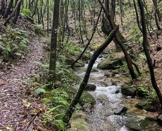 Bishnudwar Hiking